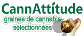 logo cannattitude